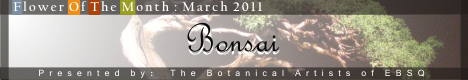 Banner for Bonsai art show