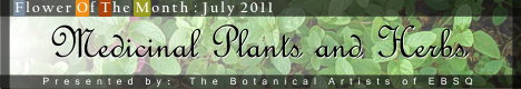 Banner for Medicinal Plants and Herbs art show
