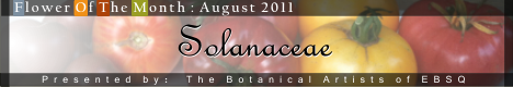 Banner for Flower of the Month: Solanaceae Family art show
