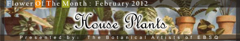Banner for Flower of the Month: House Plants art show