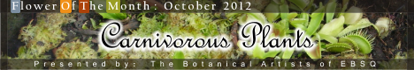 Banner for Flower of the Month: Carnivorous Plants art show