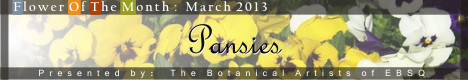 Banner for Flower of the Month: Pansies art show