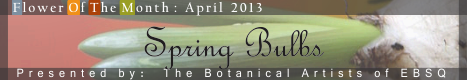Banner for Flower of the Month: Spring Bulbs art show
