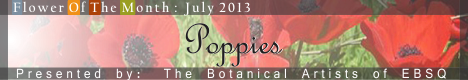 Banner for Flower of the Month: Poppies art show