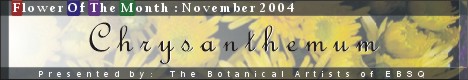 Banner for Flower of the Month: Chrysanthemum art show