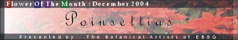 Banner for Flower of the Month: Poinsettia art show