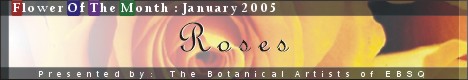 Banner for Flower of the Month: Roses art show