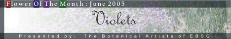 Banner for Flower of the Month: Violets art show