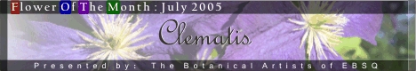 Banner for Flower of the Month: Clematis art show