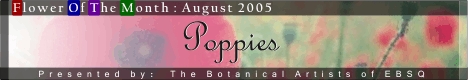 Banner for Flower of the Month: Poppies art show