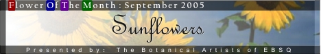 Banner for Flower of the Month: Sunflowers art show