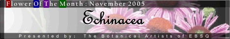 Banner for Flower of the Month: Echinacea art show