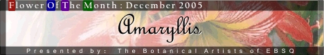 Banner for Flower of the Month: Amaryllis art show