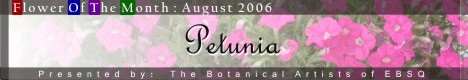 Banner for Flower of the Month: Petunia art show