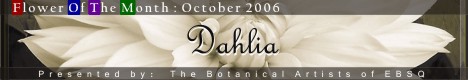 Banner for Flower of the Month: Dahlia art show