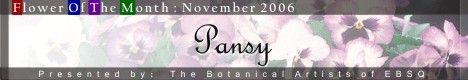 Banner for Flower of the Month: Pansy art show