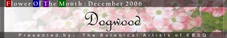Banner for Flower of the Month: Dogwood art show