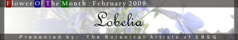 Banner for Flower of the Month: Lobelia art show