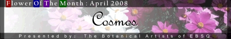 Banner for Flower of the Month: Cosmos art show