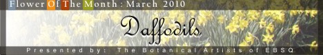 Banner for Flower of the Month: Daffodils '10 art show