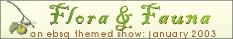 Banner for Flora & Fauna art show