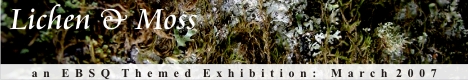 Banner for Lichen & Moss art show