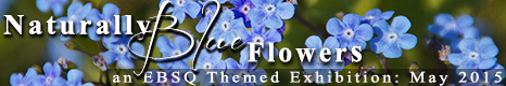 Banner for Blue Flowers art show