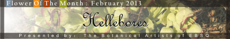 Banner for Flower of the Month: Hellebores art show