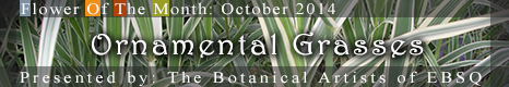 Banner for Flower of the Month: Ornamental Grasses art show