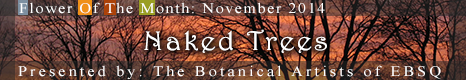 Banner for Flower of the Month: Naked Trees art show
