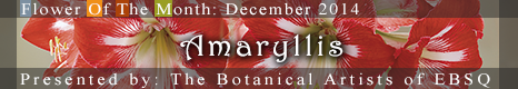 Banner for Flower of the Month: Amaryllis art show