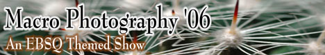 Banner for Macro Photography art show