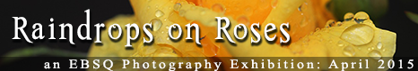 Banner for Raindrops on Roses (and other things) art show