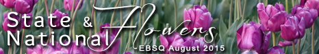 Banner for State & National Flowers art show