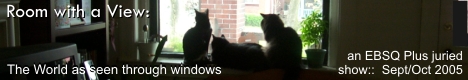 Banner for Room with a View: The World as Seen through Windows art show